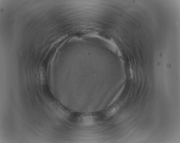 X0000070370228200606231655