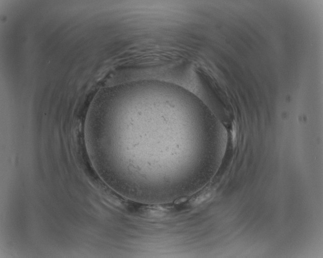 X0000070370229200606231655