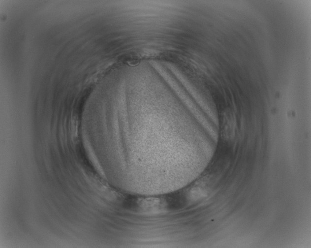 X0000070370230200606231655