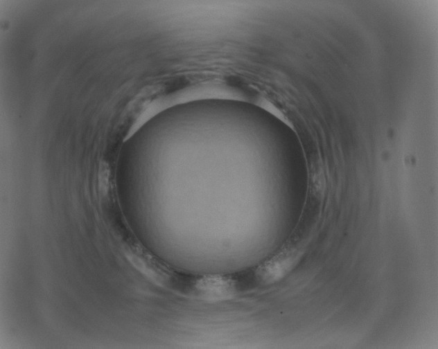 X0000070370231200606231655