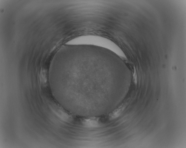 X0000070370232200606231655