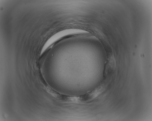 X0000070370233200606231655