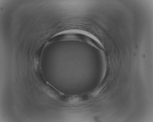 X0000070370235200606231655