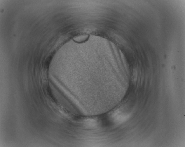 X0000070370236200606231655