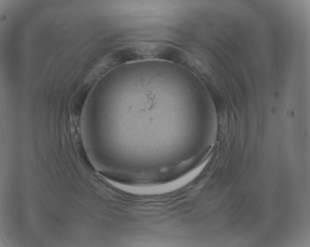 X0000070370237200606231655