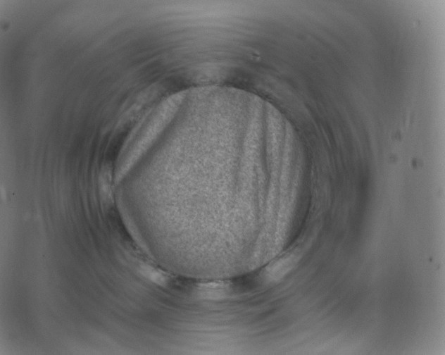 X0000070370240200606231655