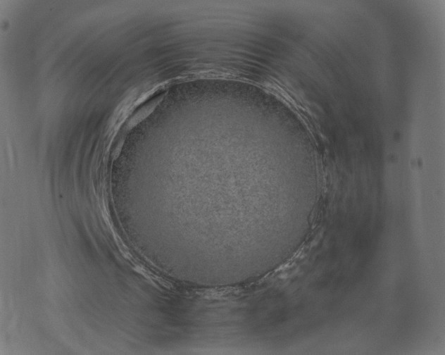 X0000070370241200606231654