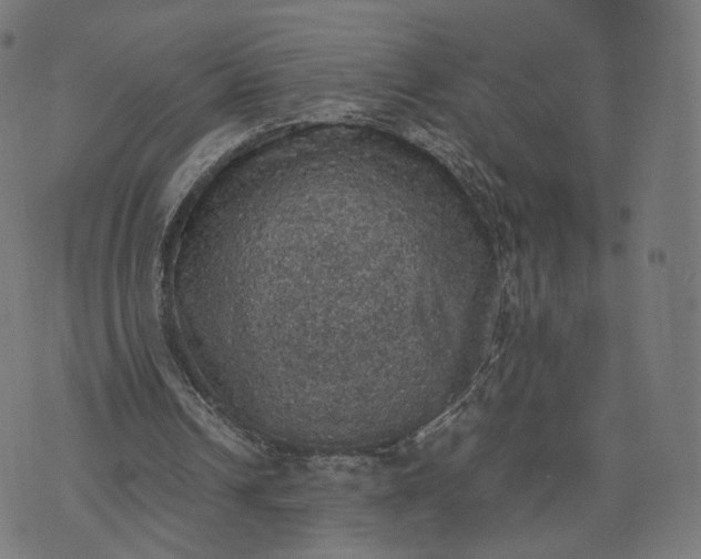 X0000070370242200606231654