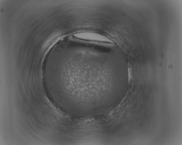 X0000070370243200606231654