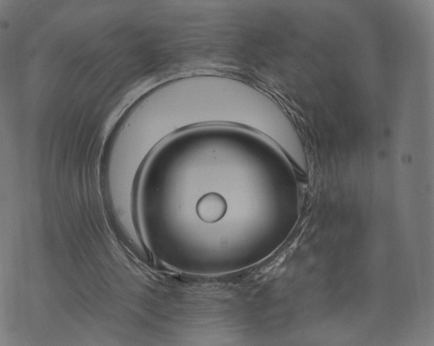 X0000070370244200606231654