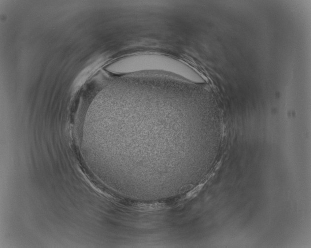 X0000070370245200606231654