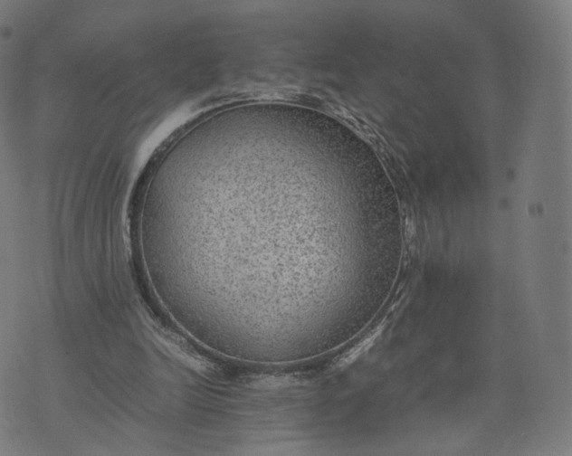 X0000070370246200606231654