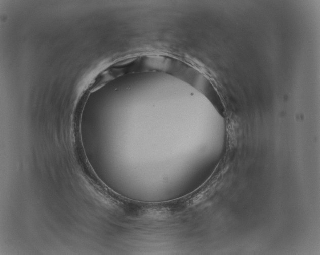 X0000070370248200606231654