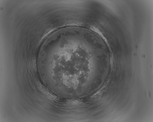 X0000070370249200606231654