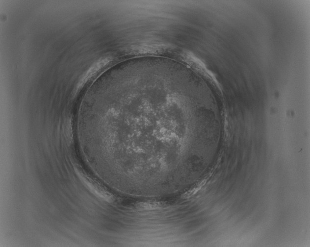 X0000070370250200606231654