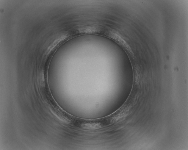 X0000070370251200606231654