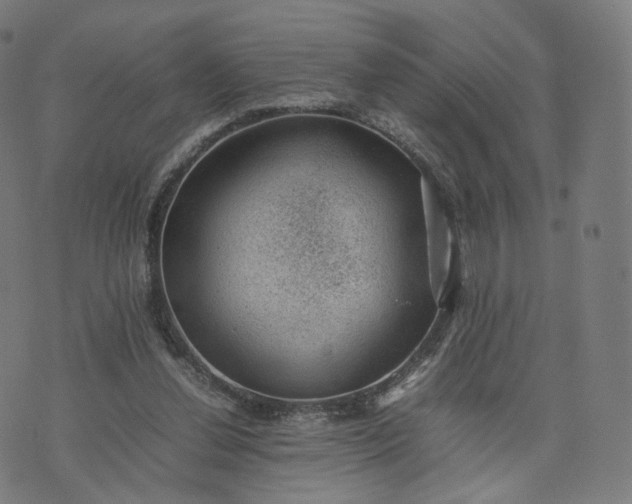 X0000070370252200606231654