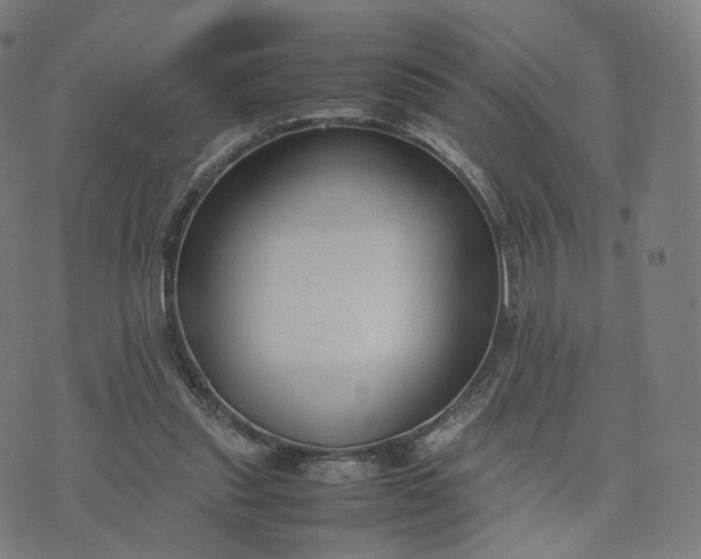 X0000070370253200606231654