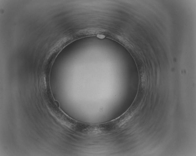 X0000070370254200606231654