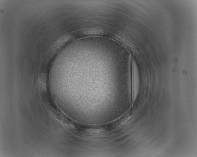 X0000070370255200606231654