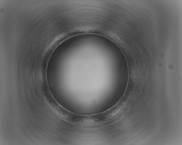 X0000070370256200606231654