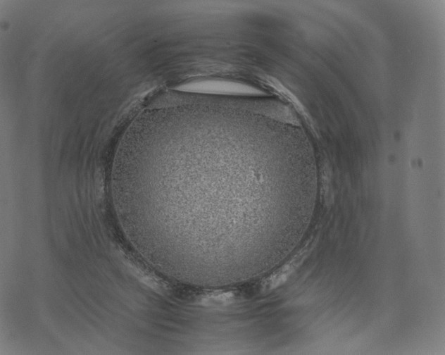 X0000070370257200606231654