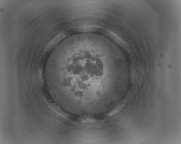 X0000070370258200606231654