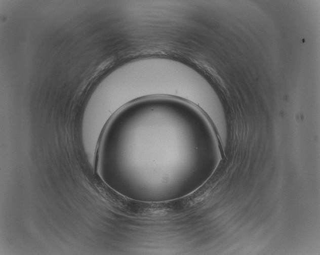 X0000070370260200606231654