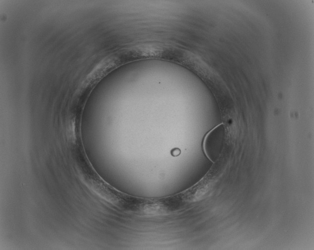 X0000070370262200606231654