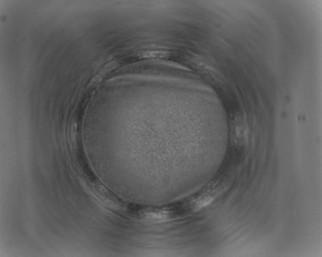 X0000070370263200606231654