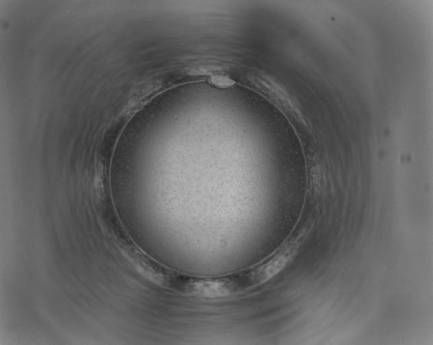 X0000070370265200606231655