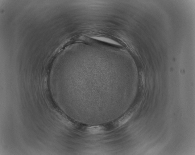 X0000070370269200606231655