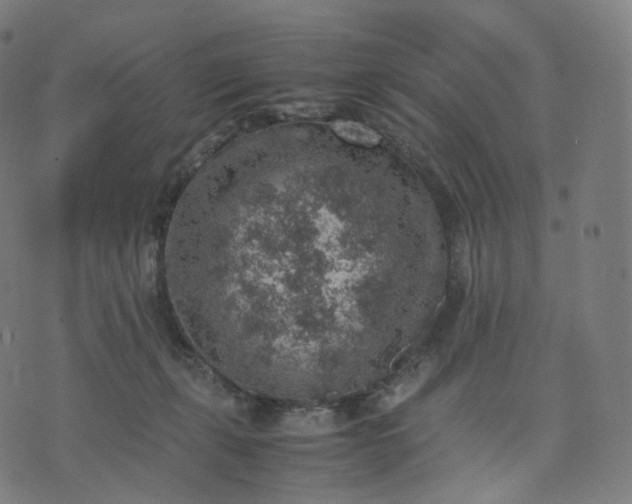 X0000070370271200606231655