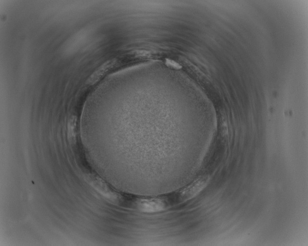 X0000070370275200606231655