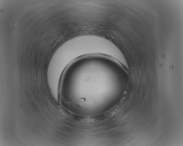 X0000070370276200606231655