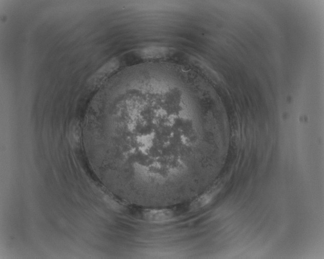 X0000070370277200606231655