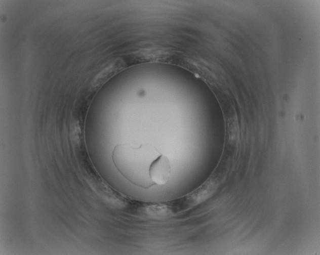 X0000070370279200606231655