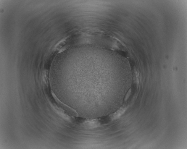 X0000070370280200606231655