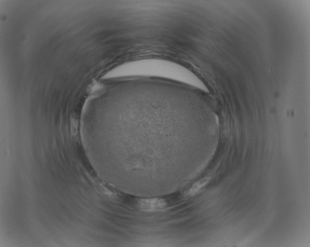 X0000070370281200606231655