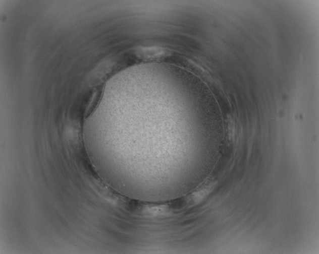 X0000070370283200606231655