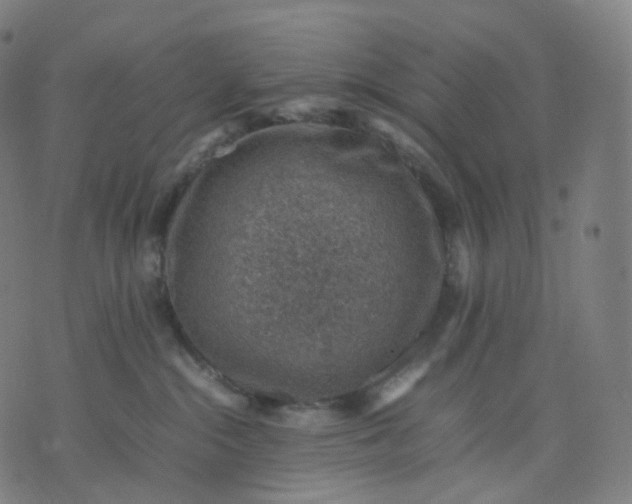 X0000070370284200606231655