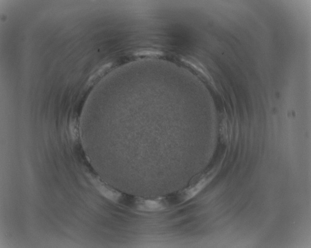 X0000070370285200606231655