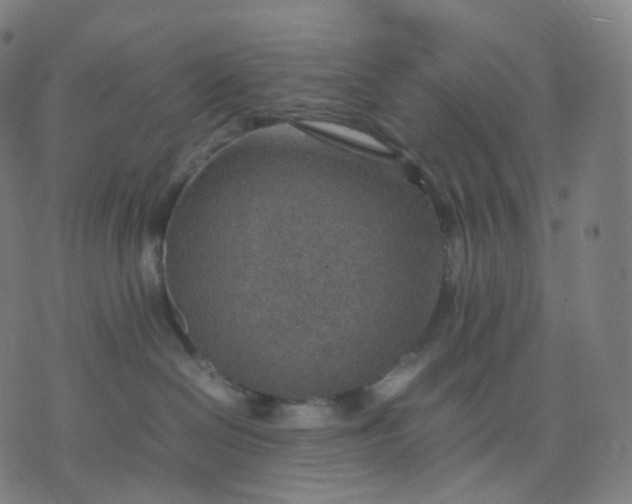 X0000070370286200606231655