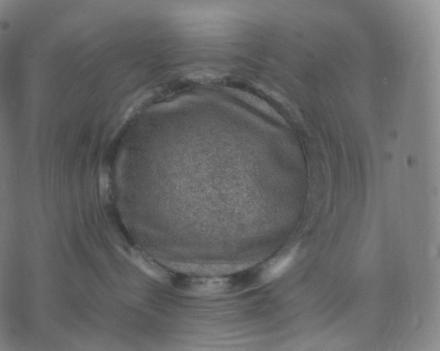 X0000070370288200606231655