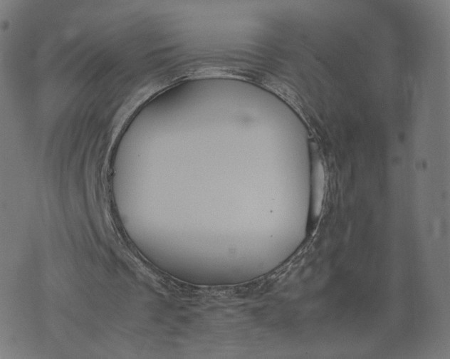 X0000070370289200606231654