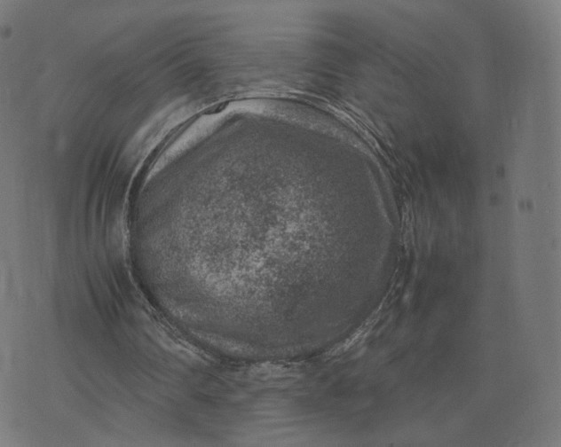 X0000070370290200606231654