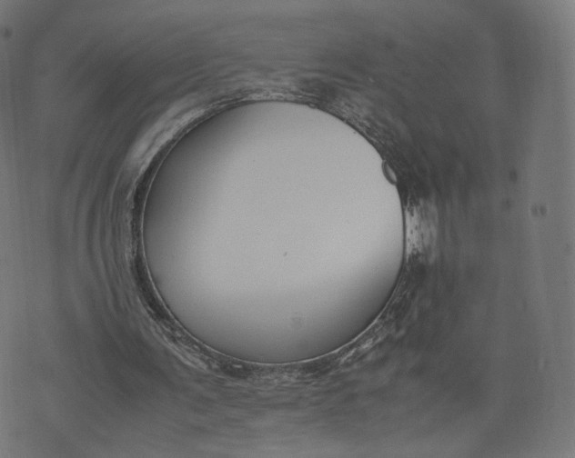 X0000070370291200606231654