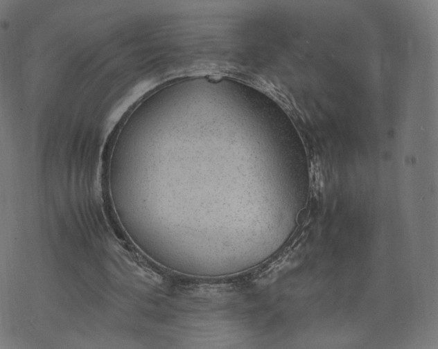 X0000070370292200606231654