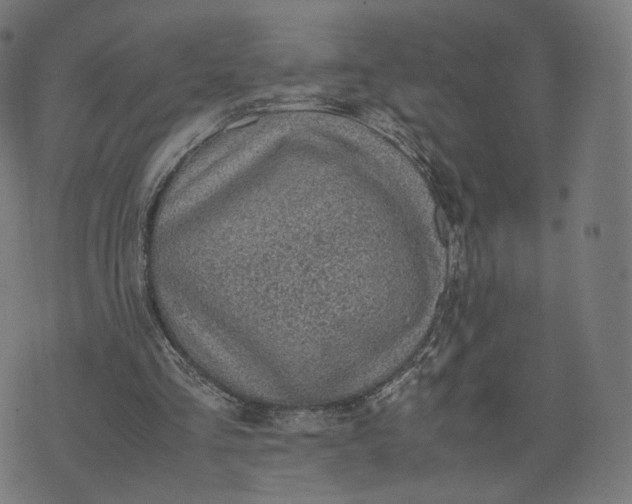 X0000070370293200606231654