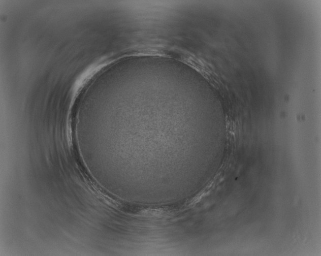 X0000070370294200606231654